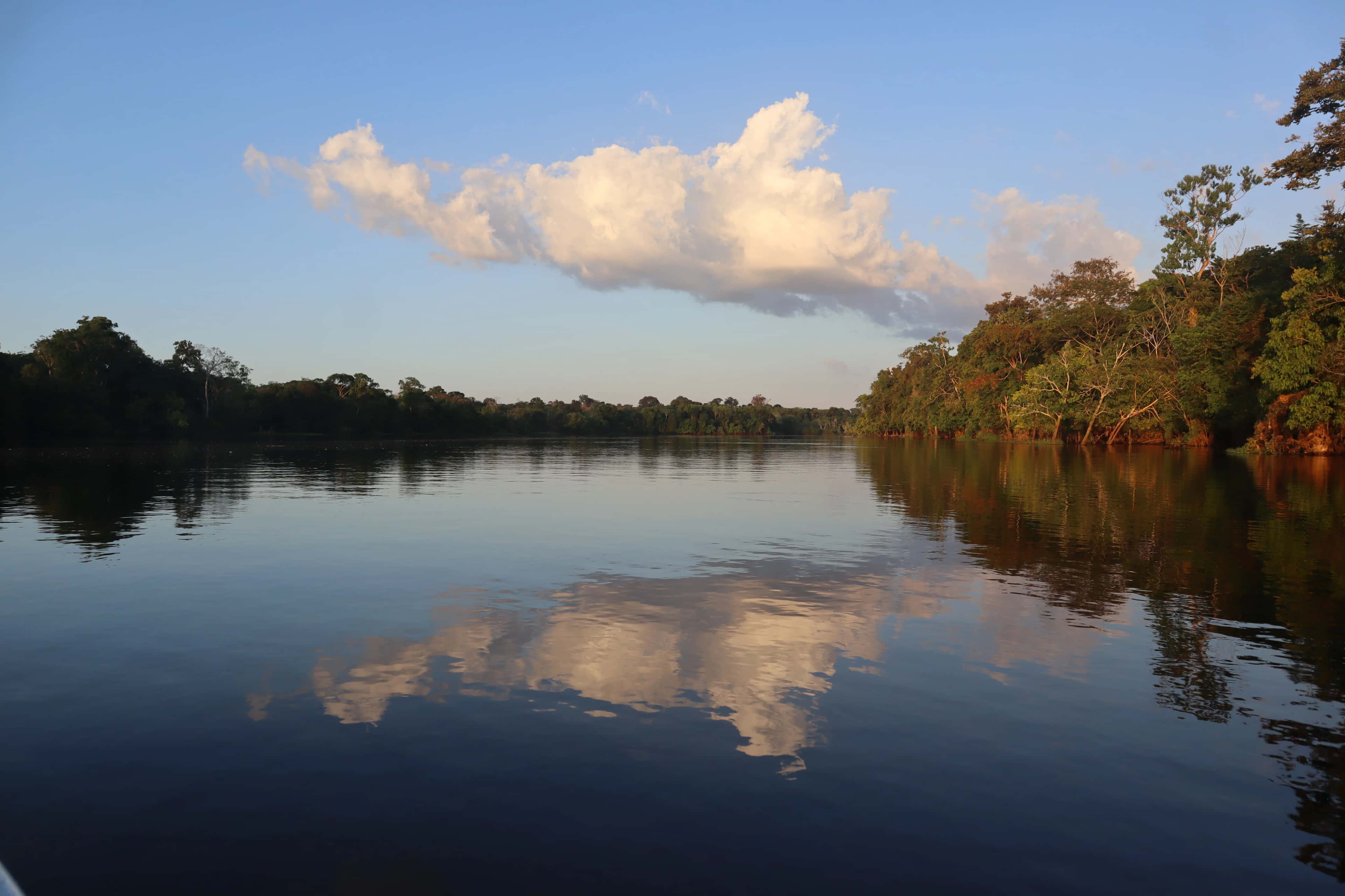 Foresta Amazzonica in Brasile: escursioni, Manaus e consigli pratici