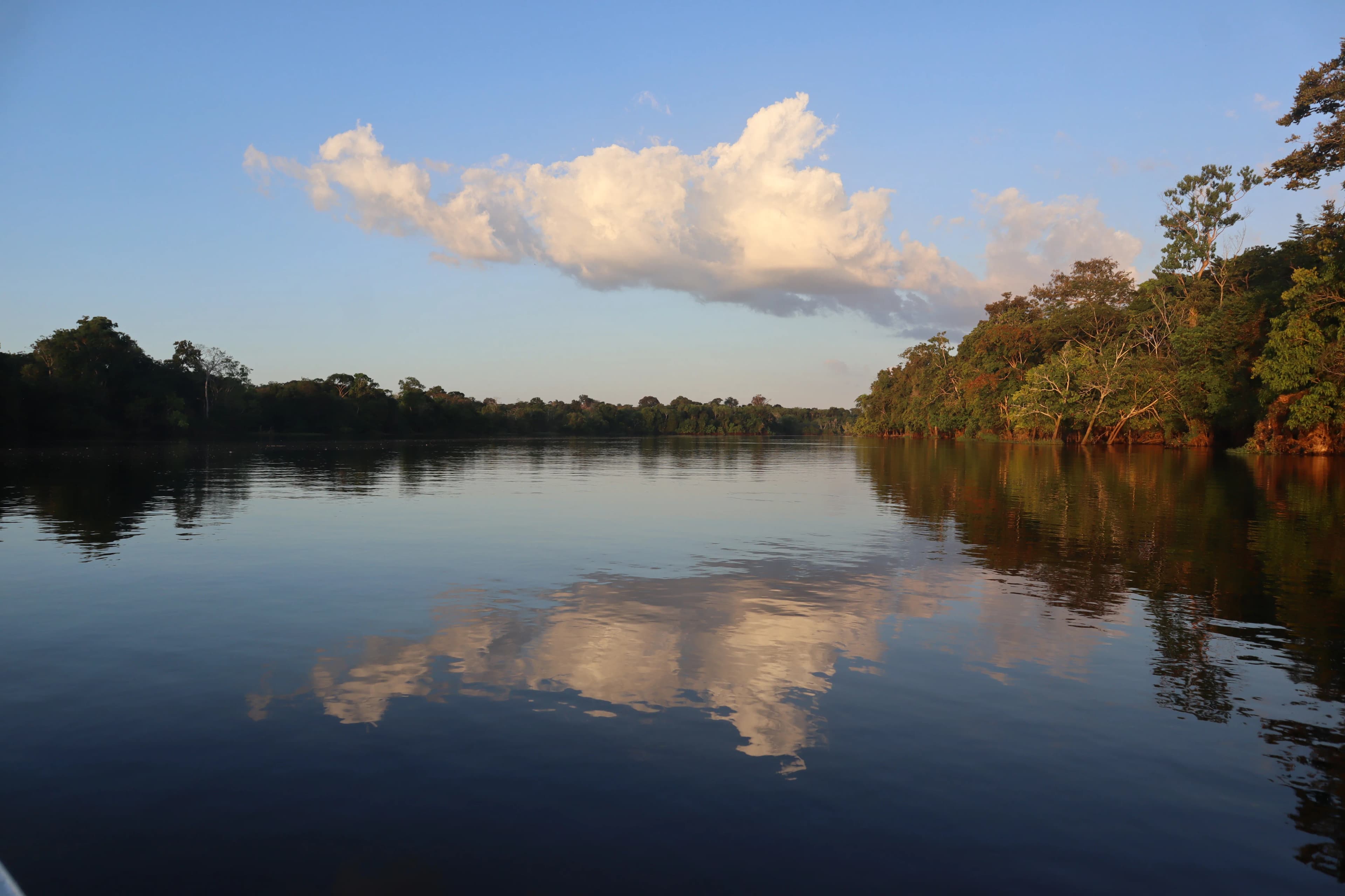 Foresta Amazzonica in Brasile: escursioni, Manaus e consigli pratici